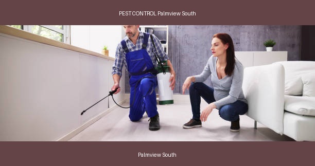 PEST CONTROL Palmview South